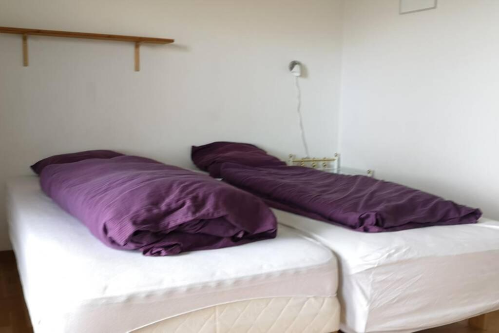 Large Apartment With Fabulous View Of トースハウン エクステリア 写真